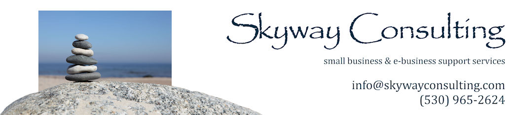 Skyway Consulting: your home- and e-business support team
